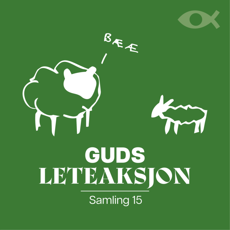 Guds leteaksjon
